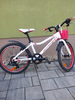 Dětské kolo  Superiior Paint 20 - 4