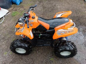 Polaris predátor 90 cmm 2 takt - 4