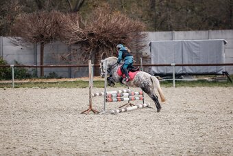 Predam sportovu pony S - 4