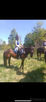 Klisna 11 let - 4