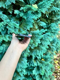 Prodám iphone 13 mini 128 gb - 4