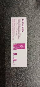 Soška P.M.Svatohorská - 4