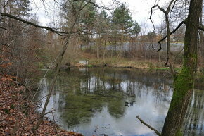 Prodej rybníka 1825m2 Petřvald u Karviné, prodám rybník 1825 - 4