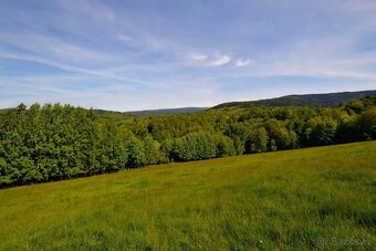 Prodej pozemku, 45 289 m2, Horní Lánov, ev.č. 00475 - 4