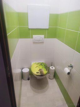 Prrodej bytu 3+1, 68 m2, Jeseník - 4