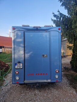 Přepravní na koně Renault Master Paragan Excelsion 5 - 4