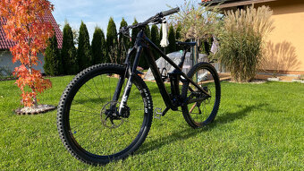 Canyon Strive CF 7.0 2019 - 4