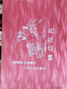 Čínska čajová súprava WANJINLONG - 4