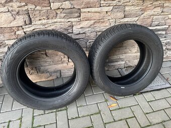 Nokian Tyres Wr SUV 4, 235/55 R17 - 4