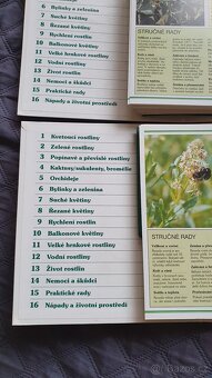 Pokojové květiny od A do Z - 4