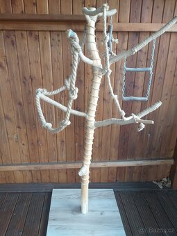 Strom pro papouška - 4
