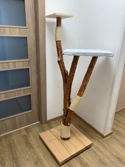 Kočičí stromy - 4