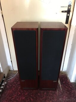 ASW Cantius ml V - 4