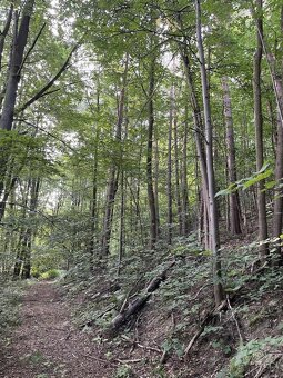 Prodám pozemky v k.ú. Útěchov u Moravské Třebové - 4