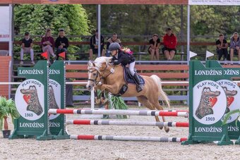 Pony do sportu 135cm - 4