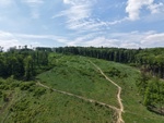 Prodej lesní pozemek, 7 184 m², Koryčany, Kroměříž - 4