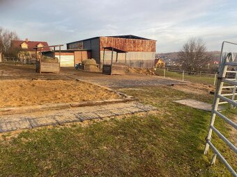 Pastevni ustajeni - 4