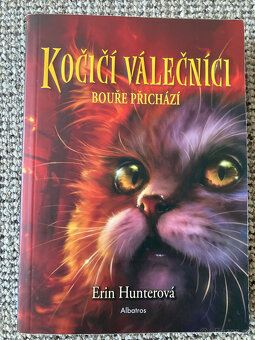 Kočičí válečníci - 4