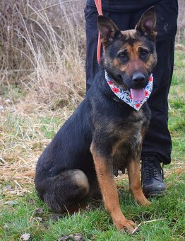 Frederika – hledá milující domov - 4