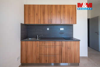 Pronájem 12 bytů 1+kk, 18 m², Radošovice u Strakonic - 4