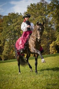lusitano hřebec - 4