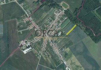 0,36 ha pozemků v k.ú. Přísnotice - 4