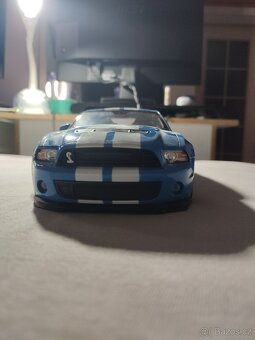 Mustang na výstavu - 4