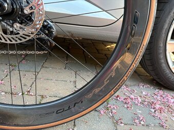 Campagnolo BORA ULTRA WTO 60 DB, model 2025 - 4