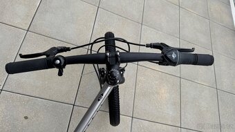 Rascal 20” - 4