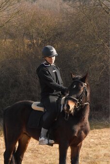 Pony valach 130kvh - 4