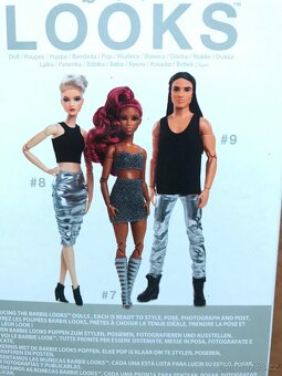Panenka - Barbie Looks, Basic a Fashionistas - 4