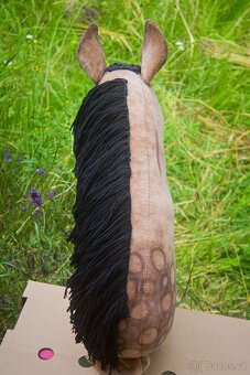 Hobby horse na prodej - 4