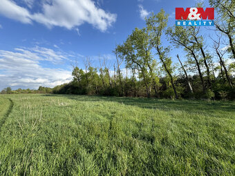 Prodej komerčního pozemku, 10254 m², Homole - 4