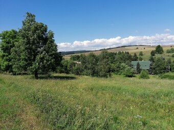 Pozemek 6 ha pro rekreaci, ranč v přírodě Krušných hor - 4