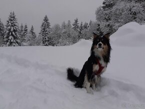 Krytí - 4