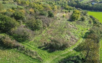 HUSTOPEČE U BRNA - VINICE A SADY - 4