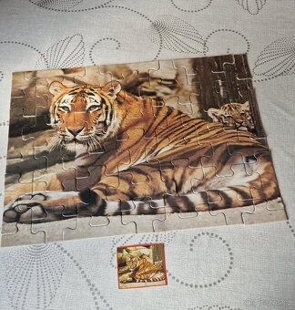 PUZZLE 42 ks tygr - 4