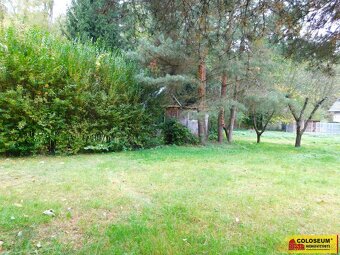 Dyje, zahrada, chatka 482 m² – pozemek, ev.č. V3288Z038 - 4