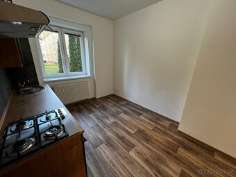 Pronájem bytu 1+1 (52 m2) - 4