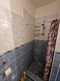 Pronájem bytu 1+1 - 4