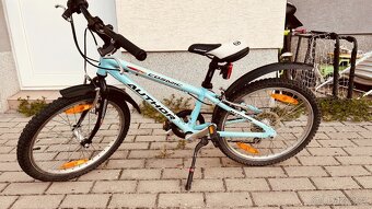 detske kolo - Author Cosmic 20' - 4