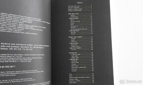 Komiks VRÁNA + DVD Film (perfekt stav) - 4