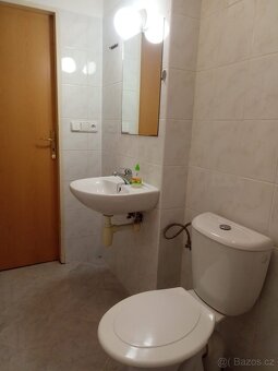 Pronájem bytu 1+kk 33,8 m² - 4