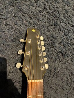 Kytara Furch 9ti strunná - 4