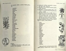 MAGICKÁ  KUŘIDLA   /   Josef Veselý - 4