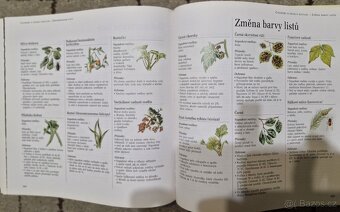 Encyklopedie, odborné, beletrie, dětské... - 4