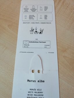 MORUŠE BÍLÁ A ČERNÁ - 4