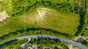 Prodej ovocného sadu, 10048 m², Roudnice nad Labem - 4
