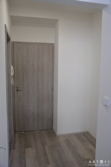 Pronájem prostorného bytu 1+1, 33 m2 - ul. Příkop, Brno - 4