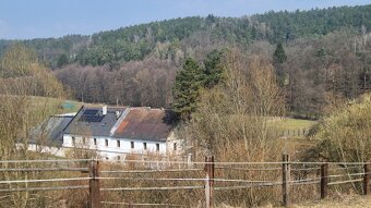 Nabízím ustájení - 4